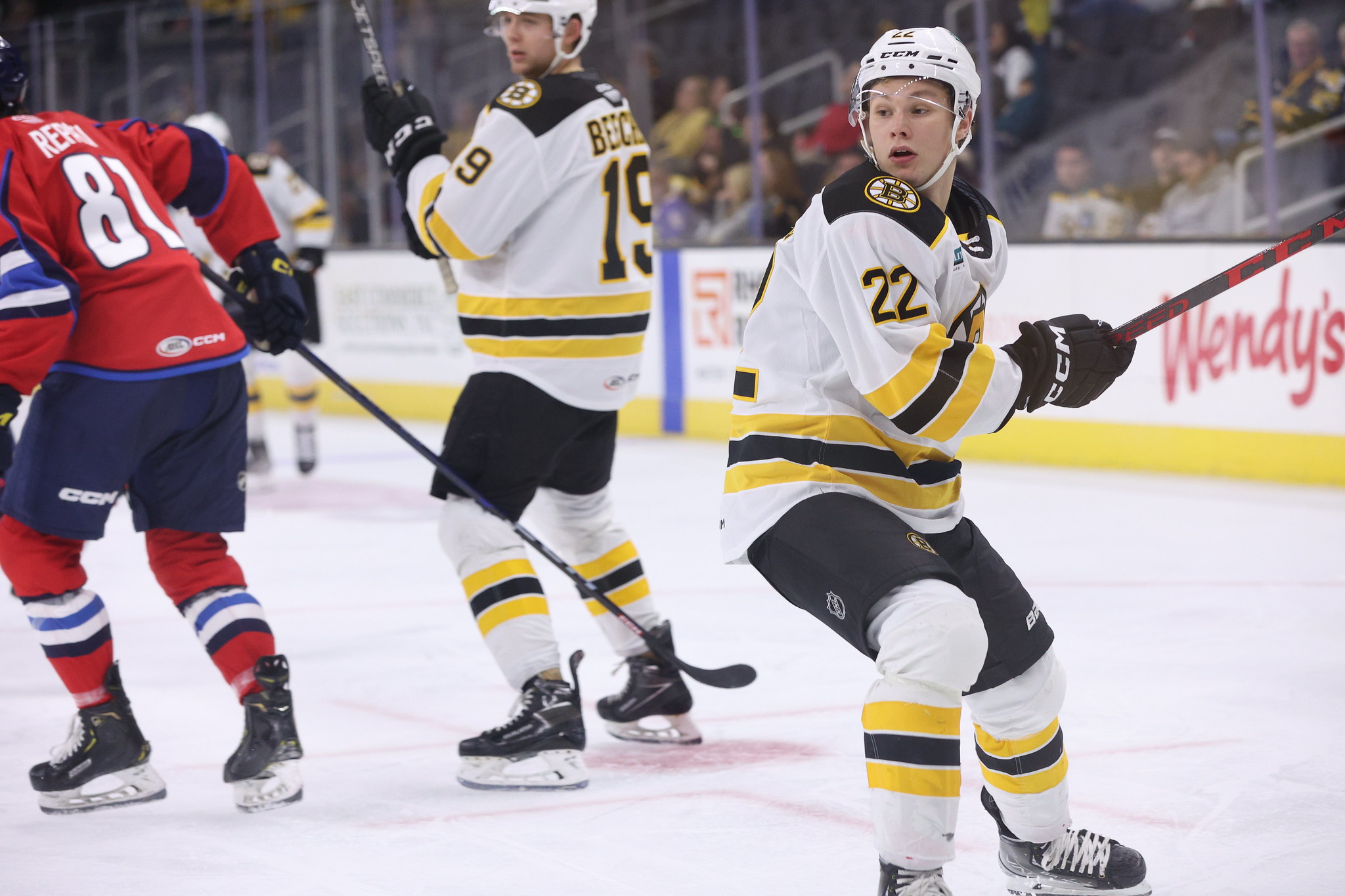 P-Bruins season preview | Rinkside Rhode Island
